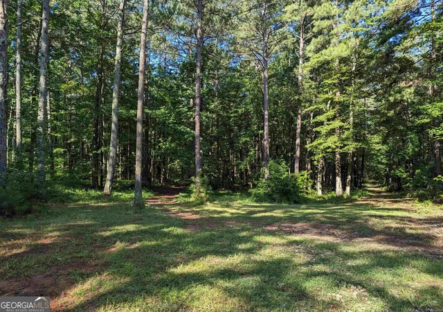 5th image of Lot 3 Joe Roberts Rd, Newnan, GA 30263 | MLS# 10715284