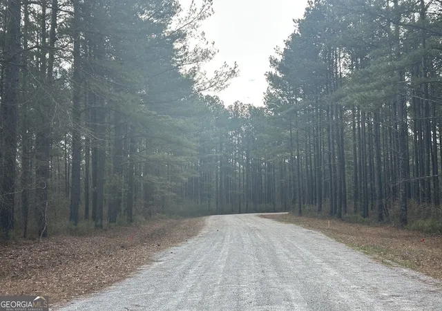 Photo 1 of Land for sale at 128 River Cvs (tract 17) #(TRACT 17), Carrollton, GA 30117 | MLS# 10702654 | Listing updated on 2026-09-08