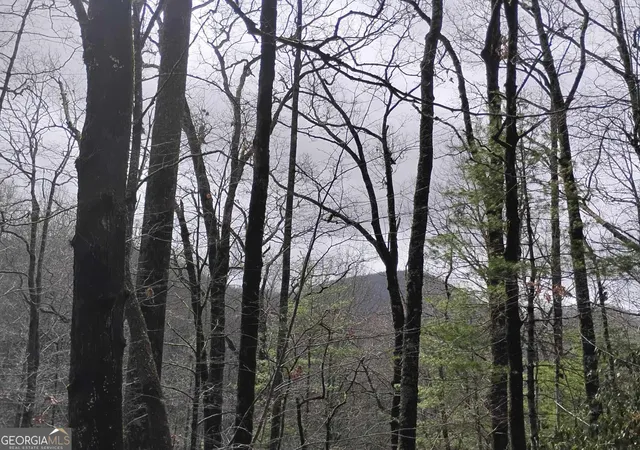 1st image of 0 Lot 289 Cobblewood Trl, Sky Valley, GA 30537 | MLS# 10806546