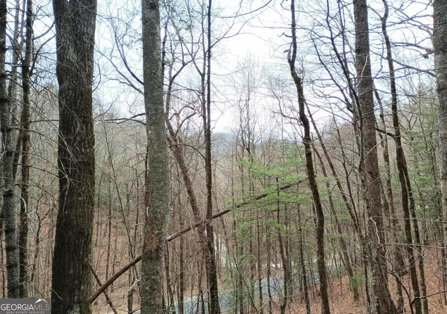 2nd image of 0 Lot 289 Cobblewood Trl, Sky Valley, GA 30537 | MLS# 10806546