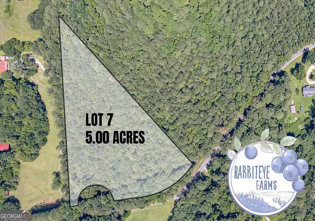 image of Lot 8 Haynes Rd, Moreland, GA 30259 | MLS# 10804446