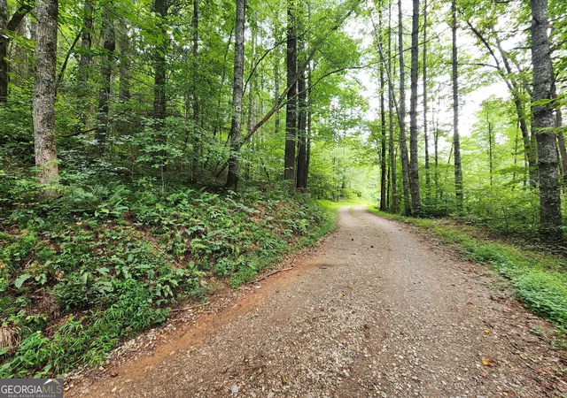 11th image of Tract 2b Poplar Cove Trl, Suches, GA 30572 | MLS# 10823072