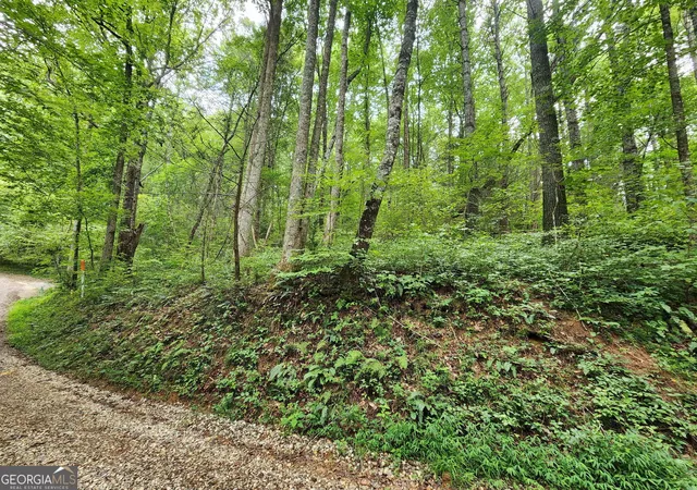 2nd image of Tract 2b Poplar Cove Trl, Suches, GA 30572 | MLS# 10823072