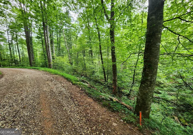 5th image of Tract 2B Poplar Cove Trl, Suches, GA 30572 | MLS# 10823072
