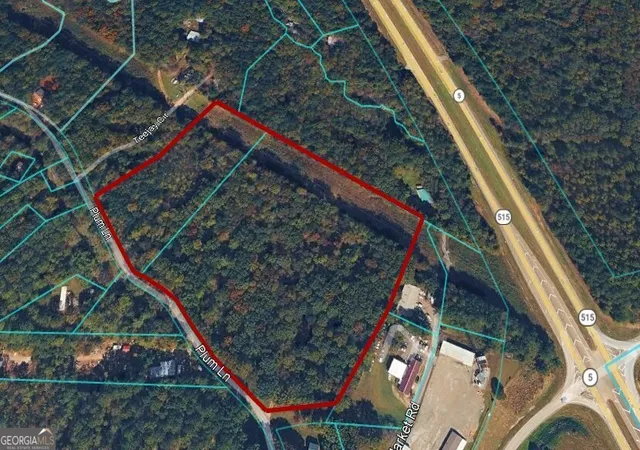 17th image of 112 Plum Ln, Jasper, GA 30143 | MLS# 10775071