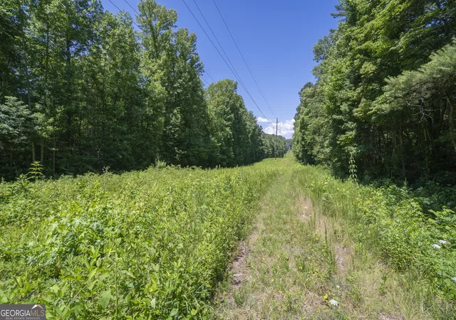 12th image of 0 Hurricane Ridge Rd, Sautee Nacoochee, GA 30571 | MLS# 10736941