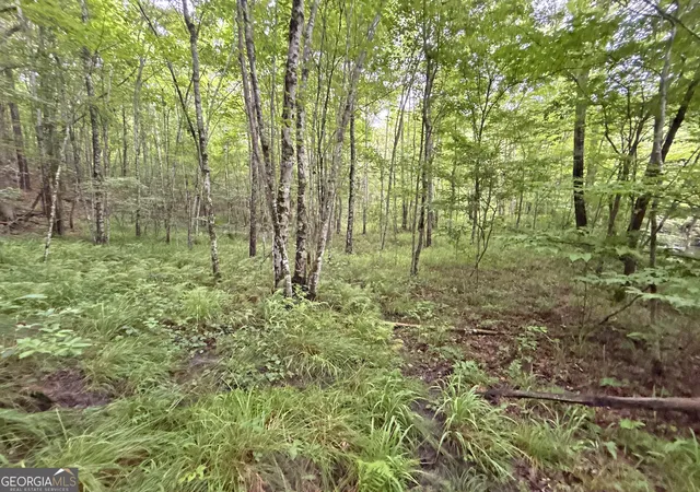 2nd image of 20ac Yonder Wy, Talking Rock, GA 30175 | MLS# 10808066