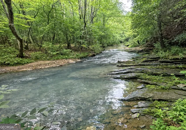 3rd image of 20Ac Yonder Wy, Talking Rock, GA 30175 | MLS# 10808066