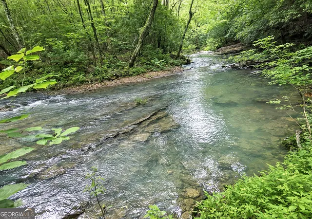 40th image of 20ac Yonder Wy, Talking Rock, GA 30175 | MLS# 10808066