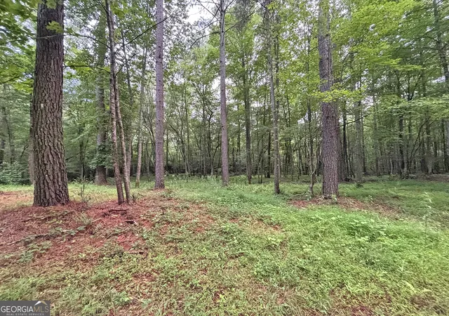 4th image of 20Ac Yonder Wy, Talking Rock, GA 30175 | MLS# 10808066