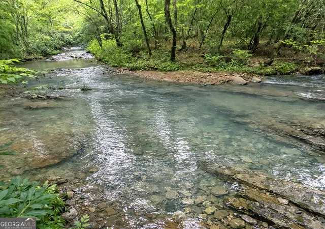 5th image of 20Ac Yonder Wy, Talking Rock, GA 30175 | MLS# 10808066