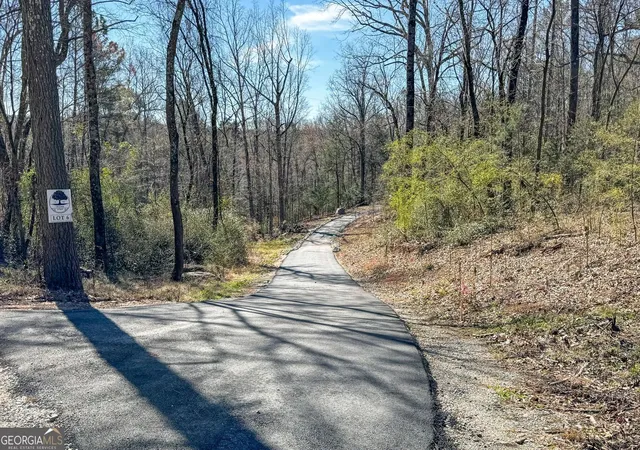 39th image of 1578 English Rd, Forsyth, GA 31029 | MLS# 10698107