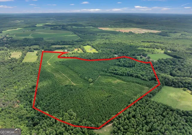 2nd image of Turkey Pt Turkey Creek Rd, Danville, GA 31017 | MLS# 10803889
