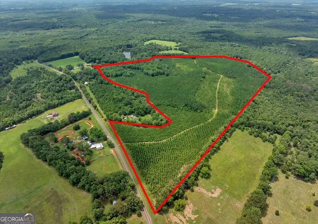 3rd image of Turkey Pt Turkey Creek Rd, Danville, GA 31017 | MLS# 10803889