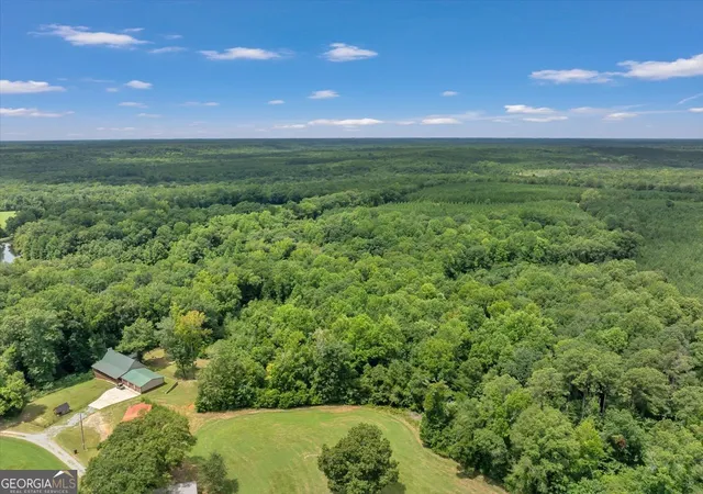 4th image of Turkey Pt Turkey Creek Rd, Danville, GA 31017 | MLS# 10803889