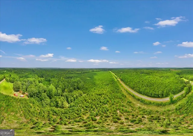5th image of Turkey Pt Turkey Creek Rd, Danville, GA 31017 | MLS# 10803889