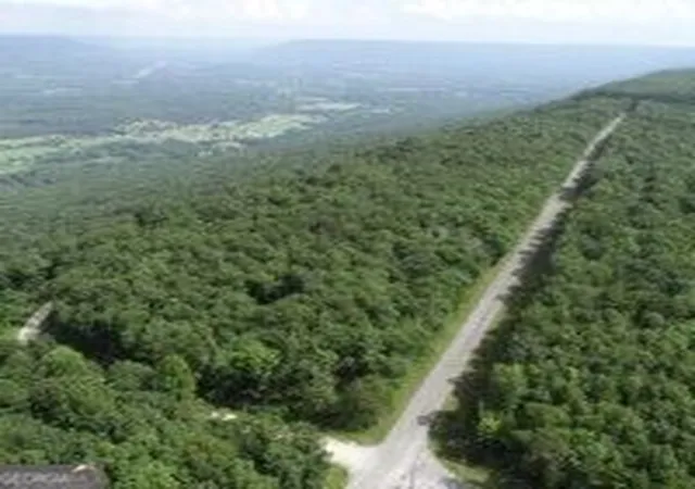 2nd image of 0 Old State Road, Menlo, GA 30731 | MLS# 10819496