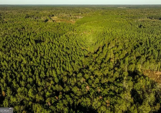 Homes for sale in Millen, GA | 3 Scarboro Landing Rd #TRACT 3, Millen, GA 30442 | MLS# 10786248