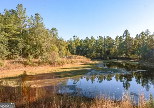 Homes for sale in Millen, GA | 3 Scarboro Landing Rd #TRACT 3, Millen, GA 30442 | MLS# 10786248