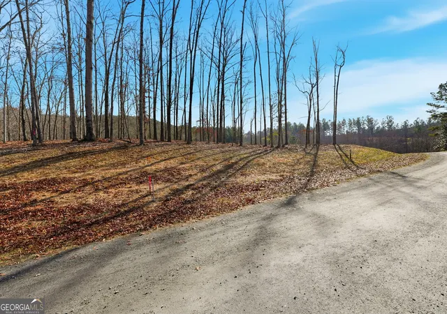 Photo 3 of Land for sale at Lot 7 Springfield Pkwy, Ellijay, GA 30540 | MLS# 10660579 | Listing updated on 2026-08-07
