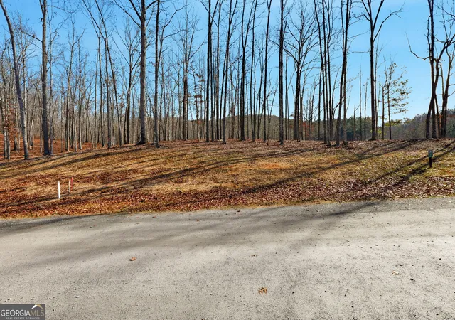 Photo 4 of Land for sale at Lot 7 Springfield Pkwy, Ellijay, GA 30540 | MLS# 10660579 | Listing updated on 2026-08-07