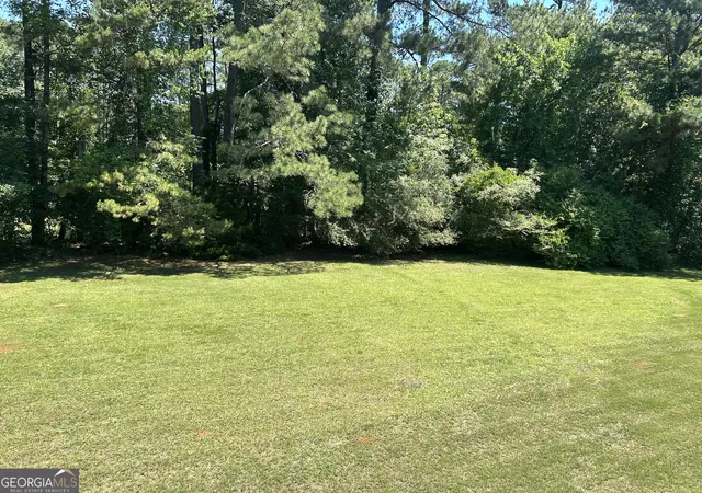 61st image of 3351 Branch Valley Trl, Conyers, GA 30094 | MLS# 10797544