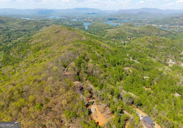 45th image of 1689 Long Ridge Rd, Hiawassee, GA 30546 | MLS# 10736315