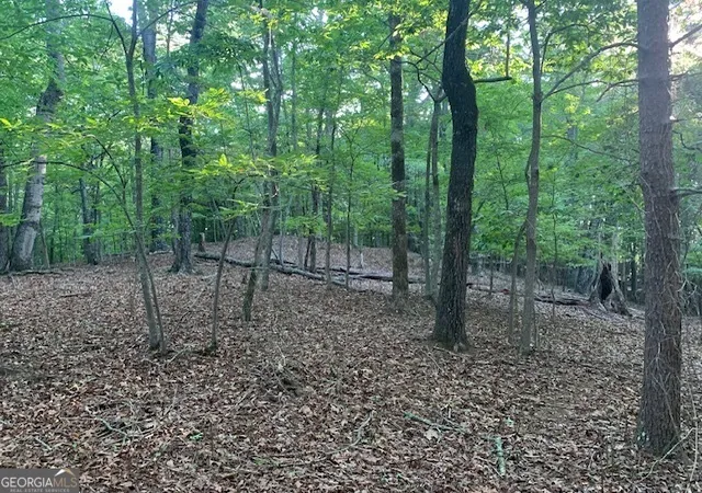 Photo 3 of Sale Pending at 0 Harold Whelchel Rd, Gainesville, GA 30506 | MLS# 10665565 | Listing updated on 2026-05-23