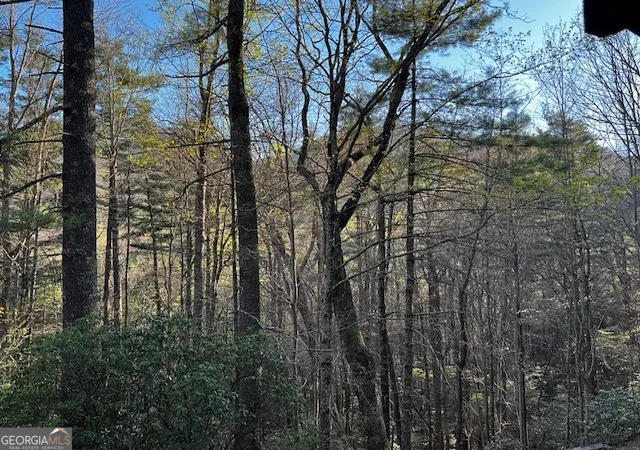 50th image of 100 Reddick Dr, Blairsville, GA 30512 | MLS# 10574560