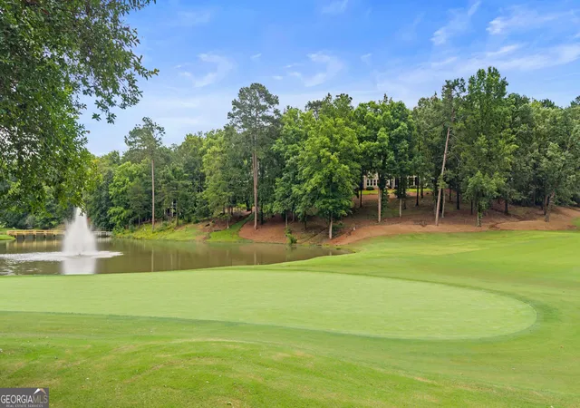 66th image of 1101 Wrayswood Cir, Greensboro, GA 30642 | MLS# 10790796