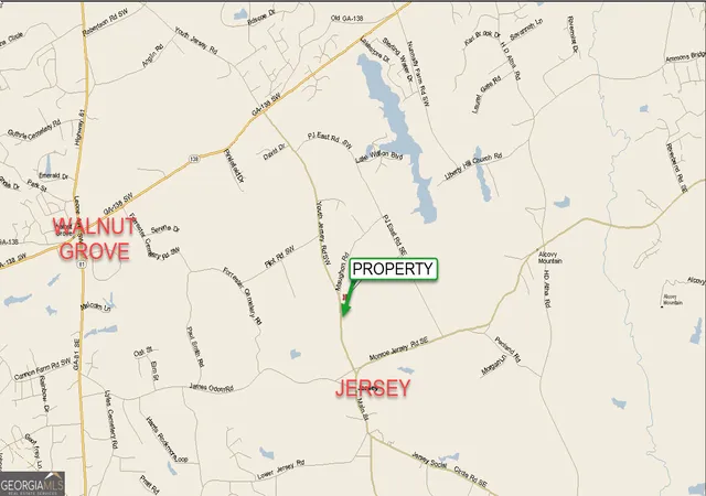42nd image of 35 Acres Youth Jersey Rd, Covington, GA 30014 | MLS# 10804107