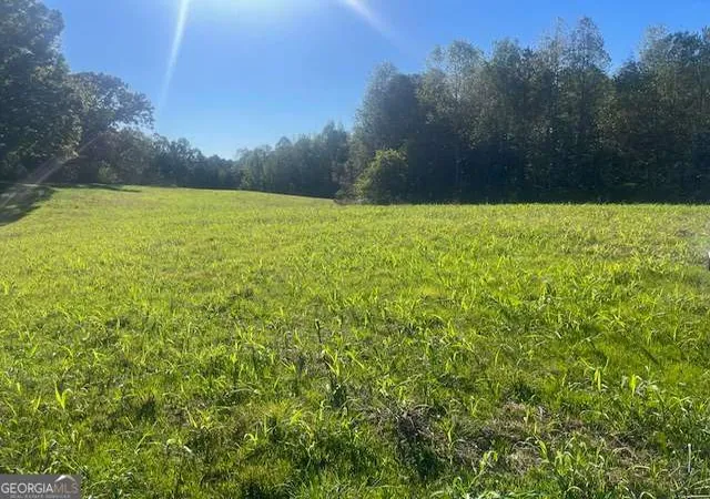 1st image of 3011 Mark Foster, Talking Rock, GA 30175 | MLS# 10759236
