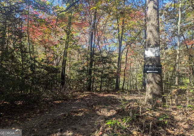 Photo 2 of Land for sale at 2689 Ac Shadow Ln, Blue Ridge, GA 30513 | MLS# 10631065 | Listing updated on 2026-01-29