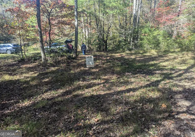 Photo 3 of Land for sale at 2689 Ac Shadow Ln, Blue Ridge, GA 30513 | MLS# 10631065 | Listing updated on 2026-01-29