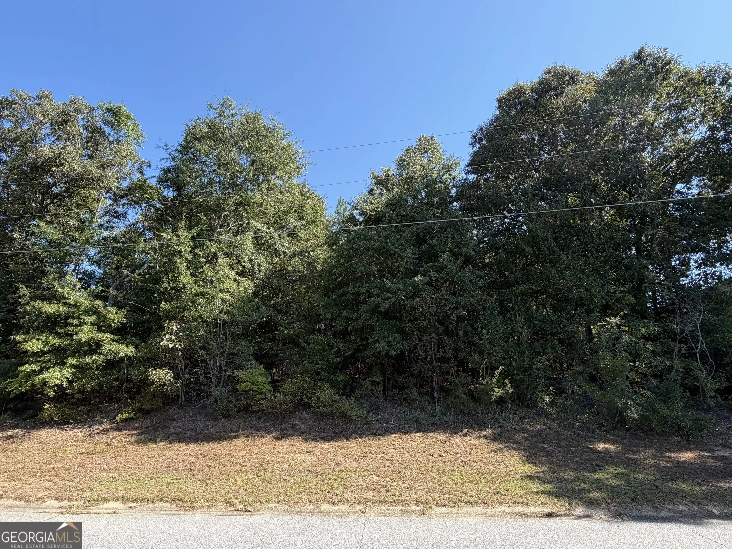 Photo 1 of Land for sale at 100 Dogwood Glen Dr, Centerville, GA 31028 | MLS# 10856635 | Listing updated on 2026-10-08
