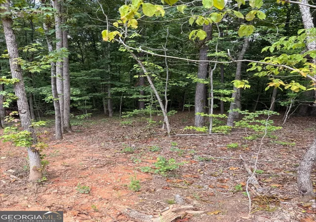 2nd image of 1270 Cunningham Rd, Greensboro, GA 30642 | MLS# 10825286