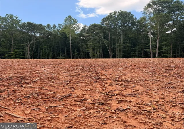 3rd image of 1270 Cunningham Rd, Greensboro, GA 30642 | MLS# 10825286