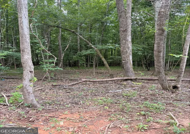 4th image of 1270 Cunningham Rd, Greensboro, GA 30642 | MLS# 10825286