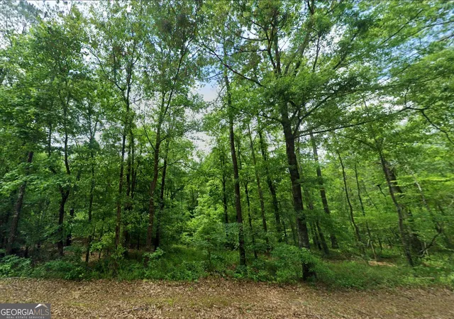 Photo 1 of Land for sale at 00 Old Eatonton, Sparta, GA 31087 | MLS# 10834370 | Listing updated on 2026-10-08