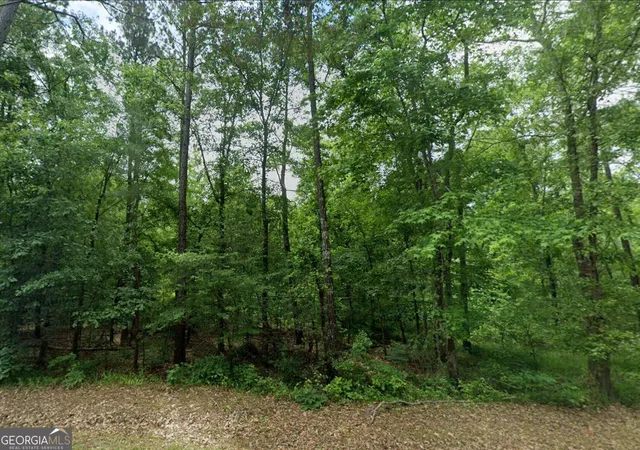 Photo 3 of Land for sale at 00 Old Eatonton, Sparta, GA 31087 | MLS# 10834370 | Listing updated on 2026-10-08