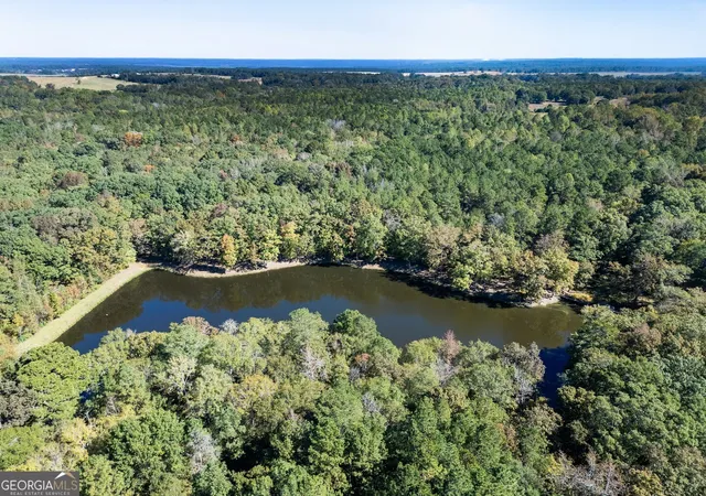 Photo 3 of Sale Pending at 0 Ga Hwy 142 #A-1 (N-1), Shady Dale, GA 31085 | MLS# 10753527 | Listing updated on 2026-10-05