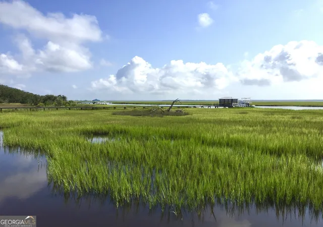Photo 2 of Land for sale at 120 Carousers Cvs, Saint Marys, GA 31558 | MLS# 10802244 | Listing updated on 2026-09-28