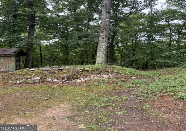 5th image of 1285 Seven Mile Hill Rd, Dahlonega, GA 30533 | MLS# 10822482