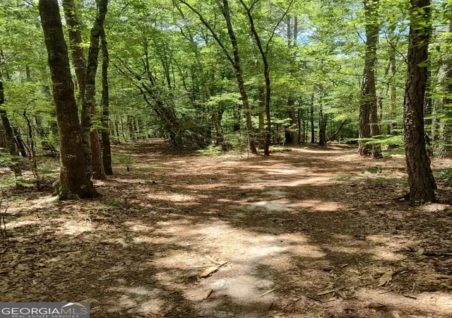 24th image of 2211 Indian Hill Rd, Elberton, GA 30635 | MLS# 10551739