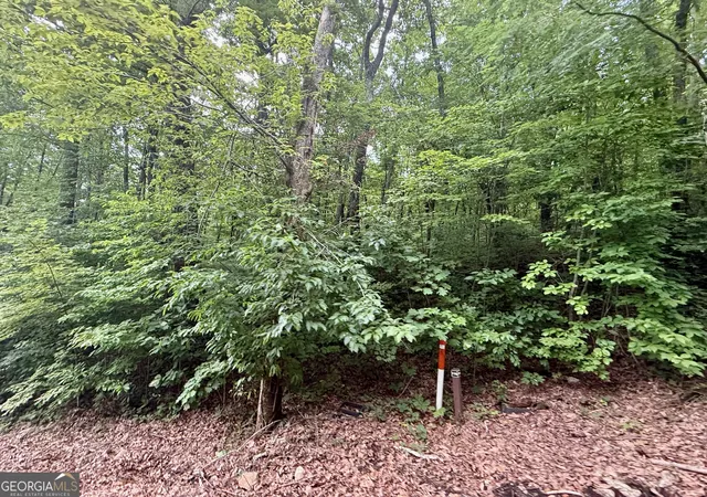 6th image of 0 Streets Of The Overlook At Kingwood, Clayton, GA 30525 | MLS# 10796013