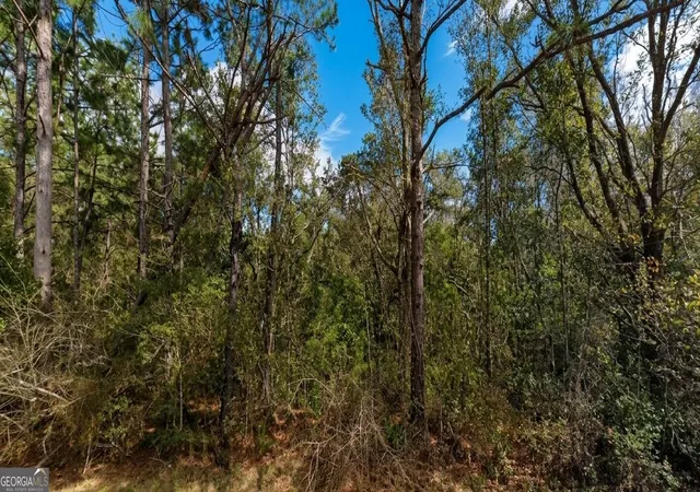 Photo 3 of Land for sale at 0 Pollard Road #LOT A, Daphne, AL 36526 | MLS# 10824075 | Listing updated on 2026-09-17