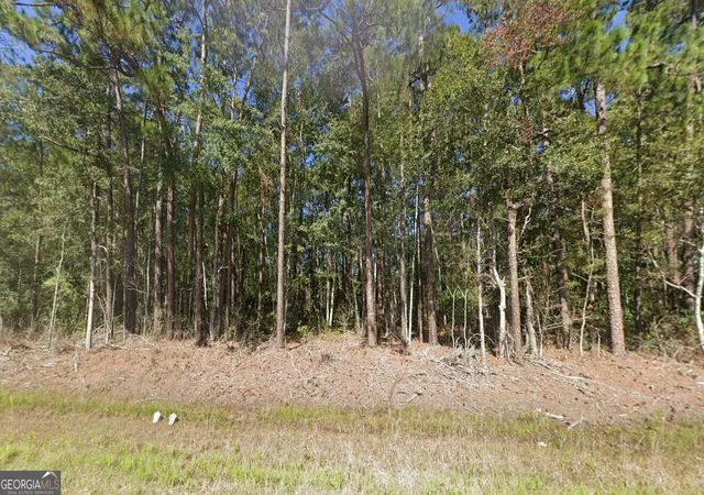 Homes for sale in Hortense, GA | 5201 Hwy 32, Hortense, GA 31543 | MLS# 10766832