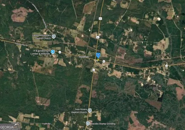 Homes for sale in Hortense, GA | 5201 Hwy 32, Hortense, GA 31543 | MLS# 10766832
