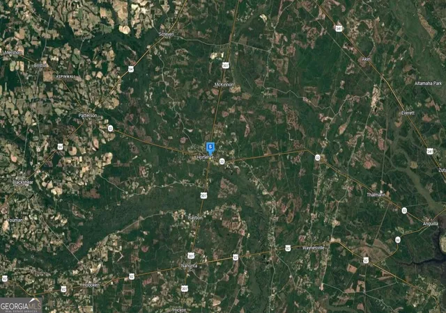 Homes for sale in Hortense, GA | 5201 Hwy 32, Hortense, GA 31543 | MLS# 10766832