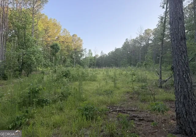 1st image of 0 Old Rico Rd, Chattahoochee Hills, GA 30268 | MLS# 10768283